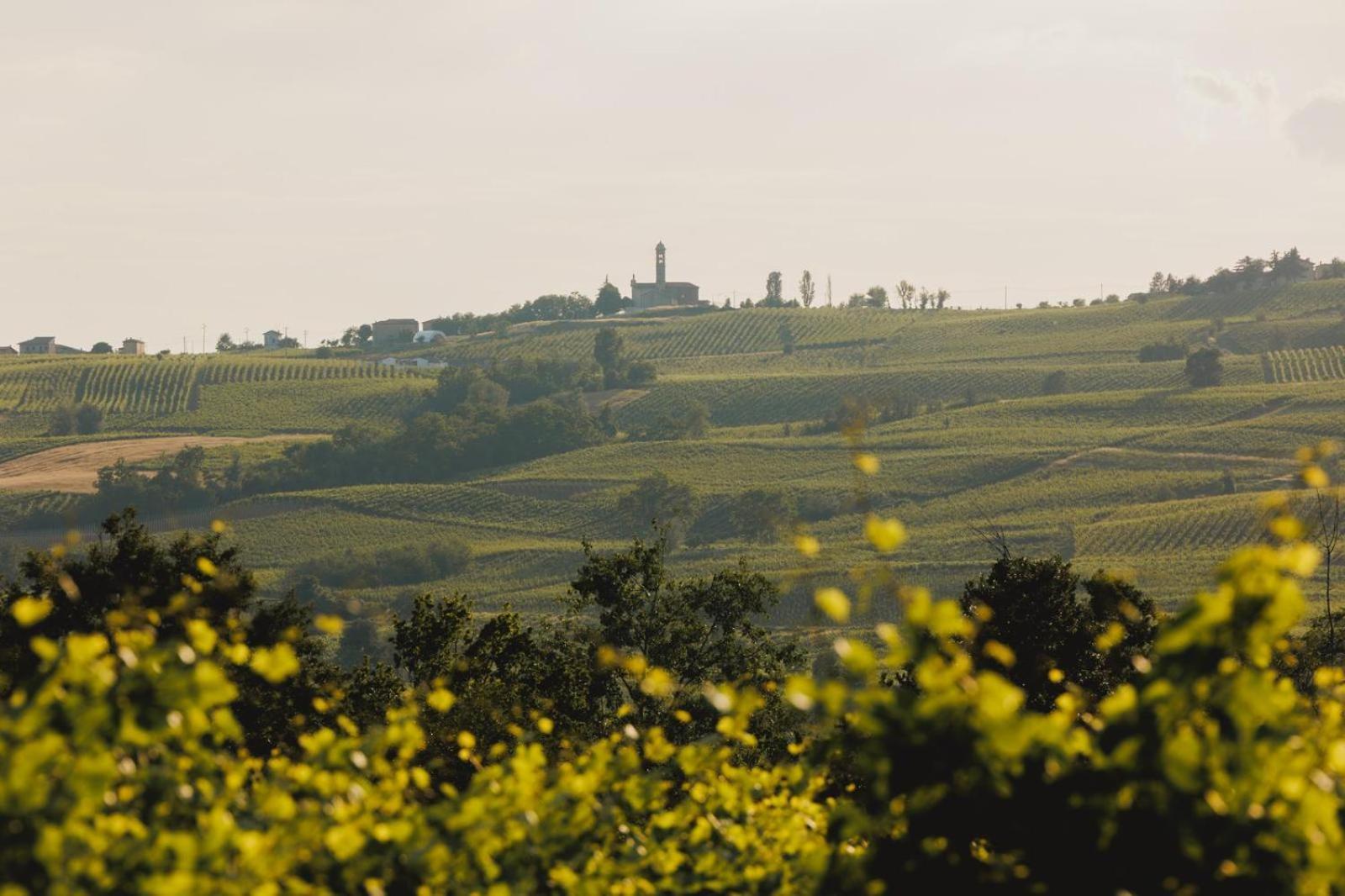 Agriturismo Bosco Longhino Santa Maria della Versa Luaran gambar